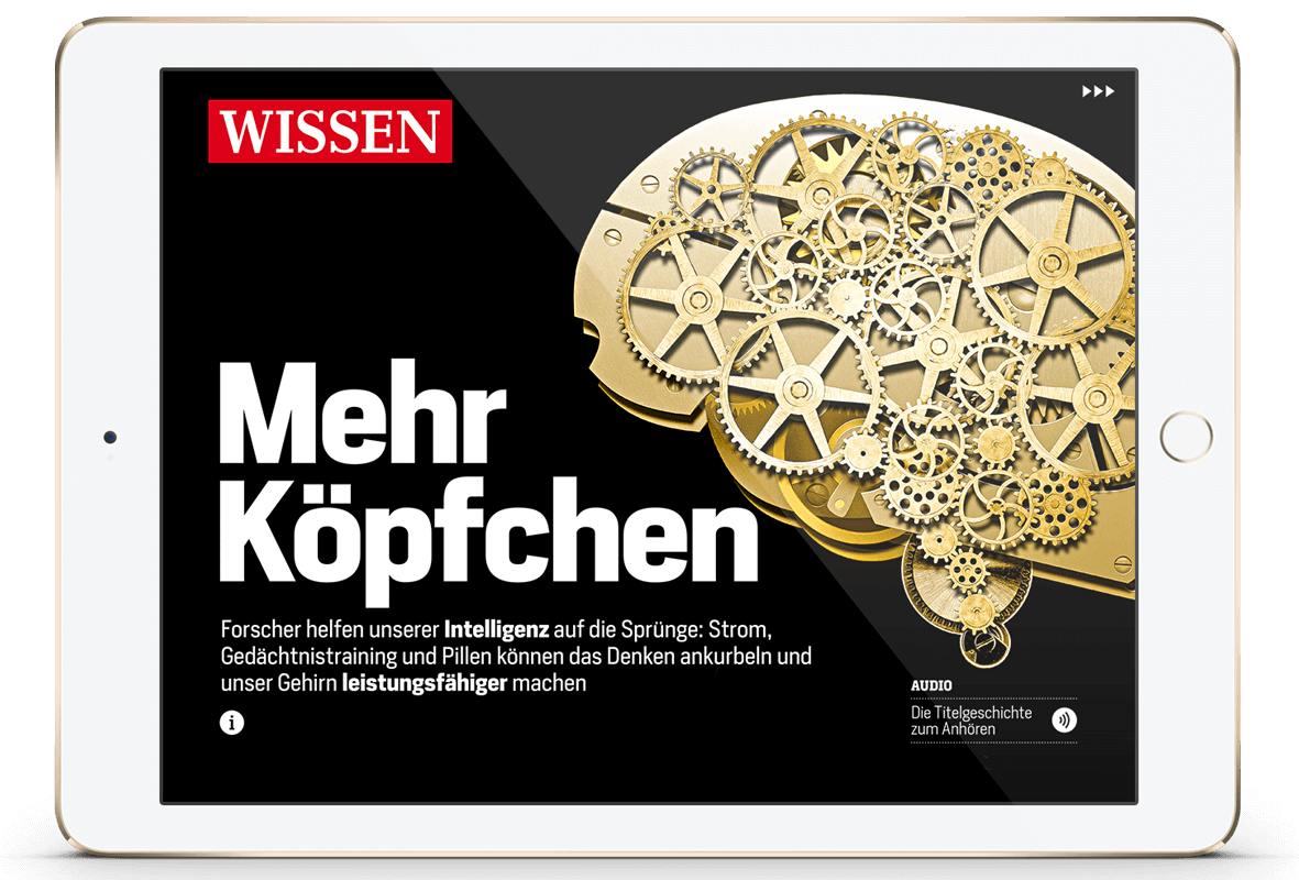 Focus Magazin App zum Thema mehr Köpfchen.